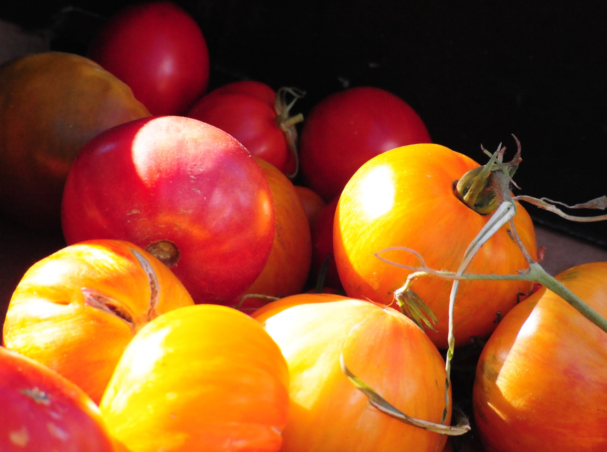 Downtown Ogden, Utah, 2014