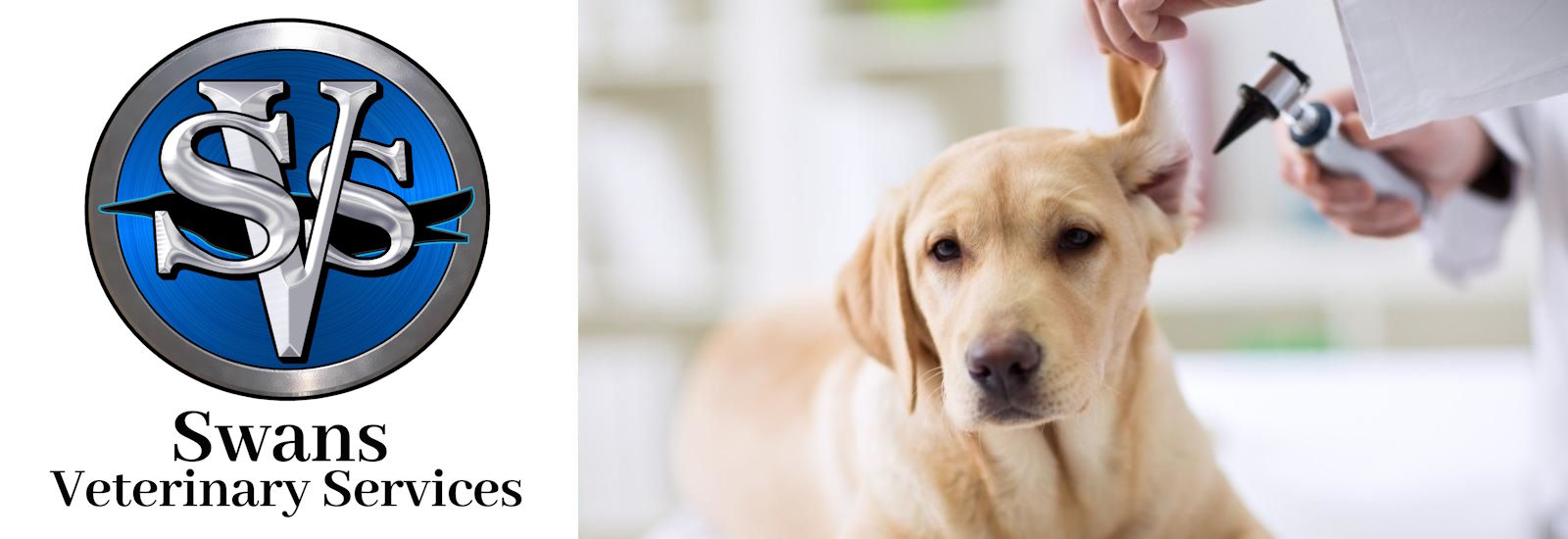Swans Vet