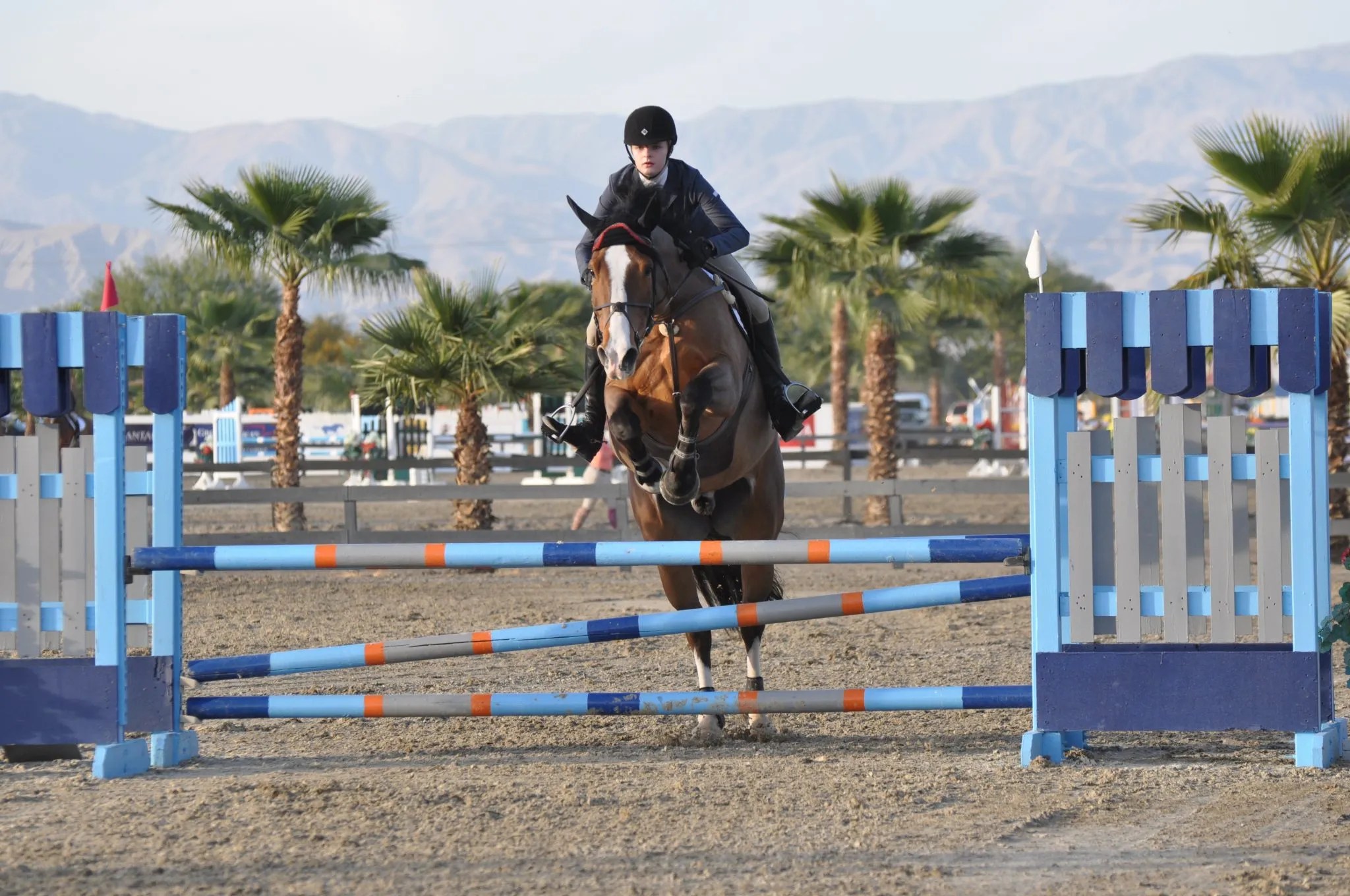Oregon Summer Classic Horse Show Swan Training