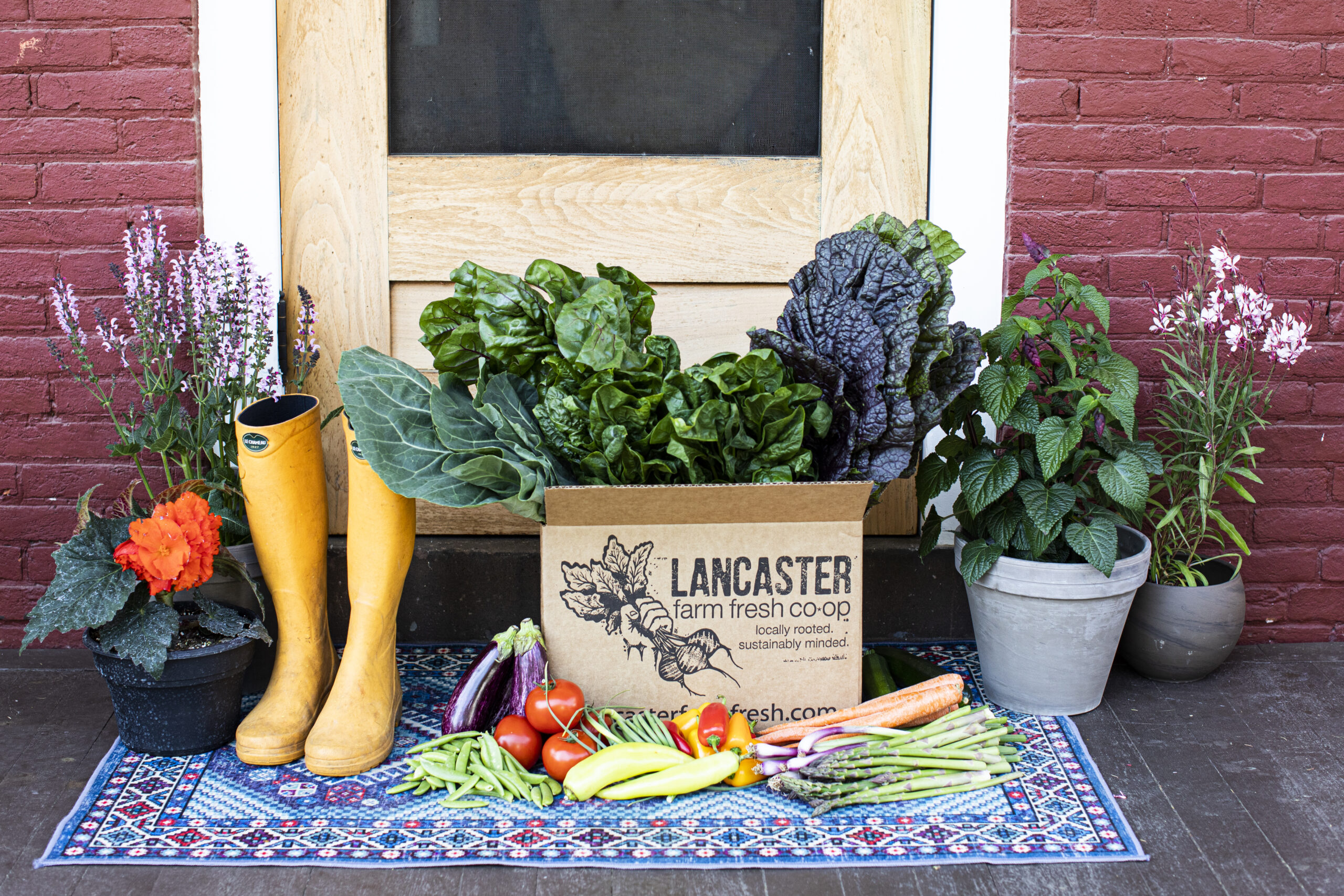 Lancaster Farm Fresh Coop Swarthmore COOP