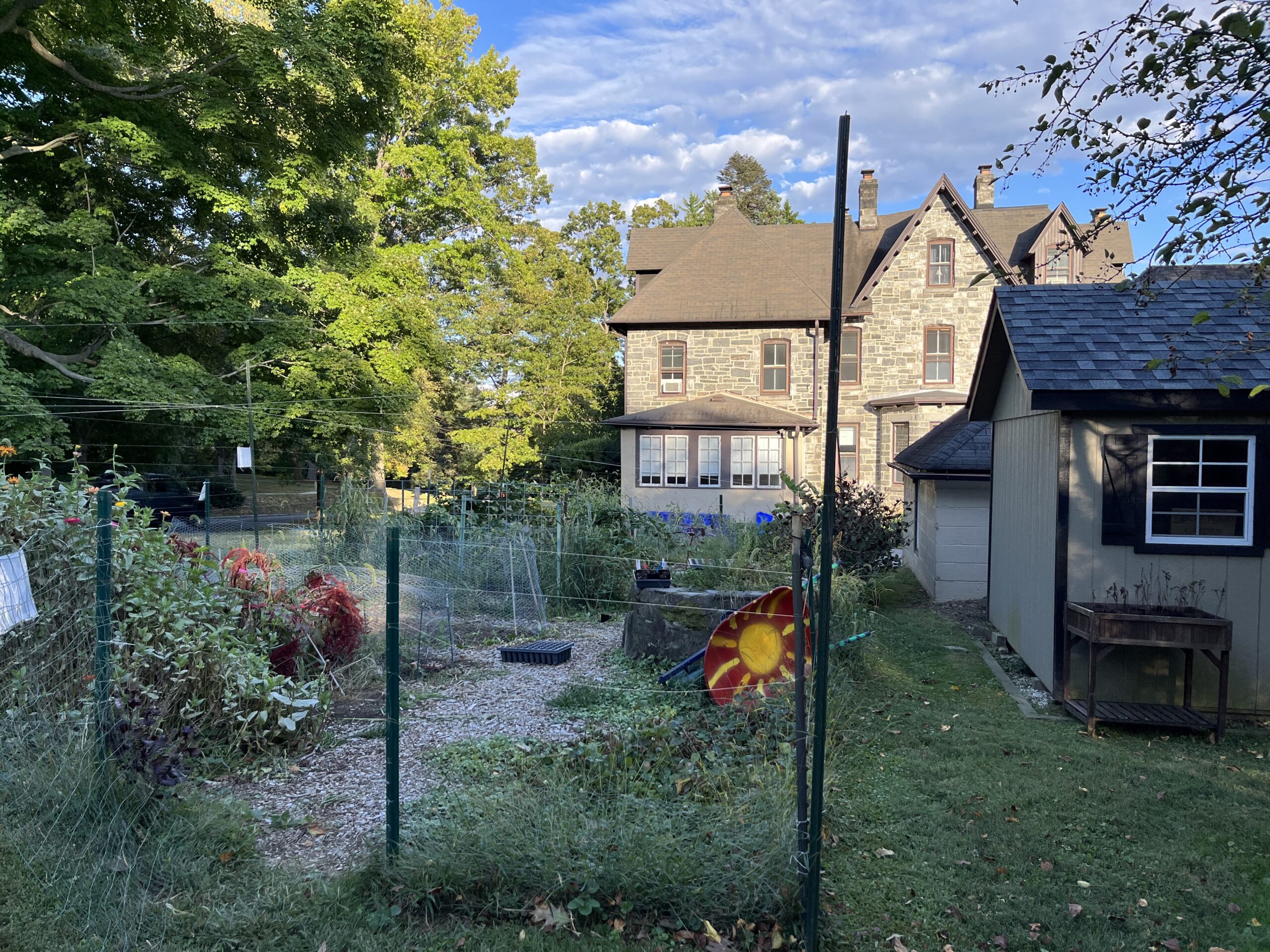 Gardening The Best Way to Cultivate Yourself The Phoenix