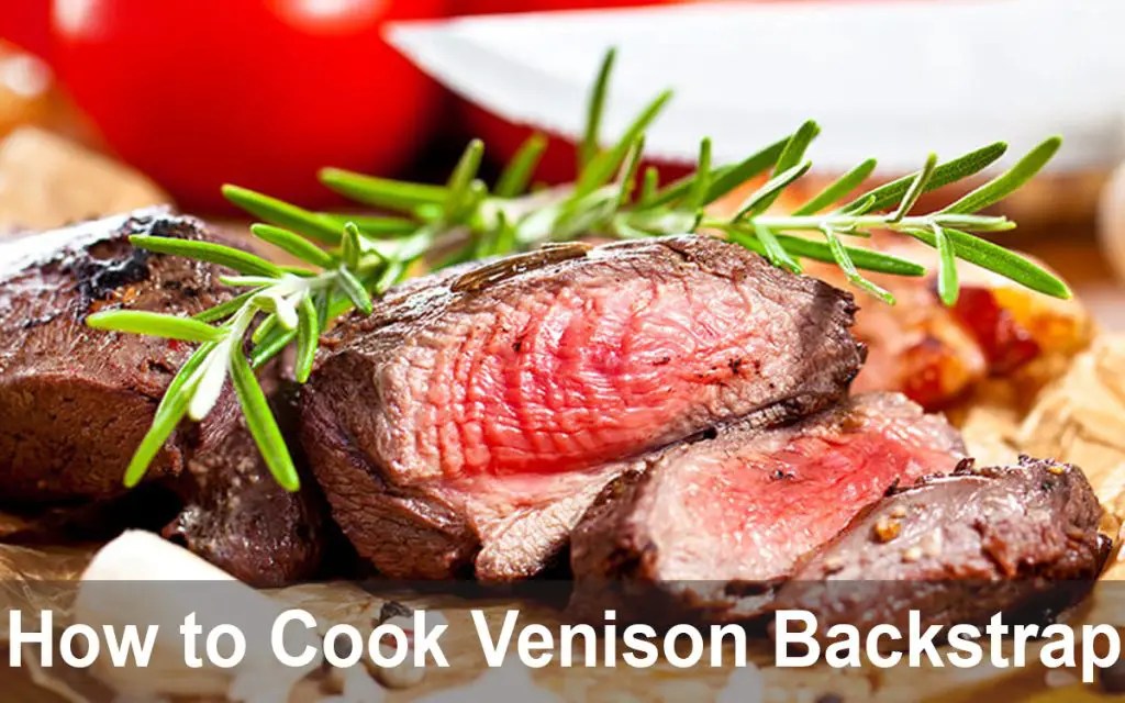 How to Cook Deer Backstrap in Oven & Stove (Tips & Guides) Swartzsdeli