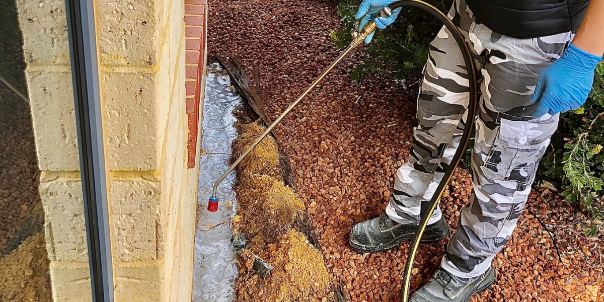 Termite Barriers Perth EcoFriendly Termite Control