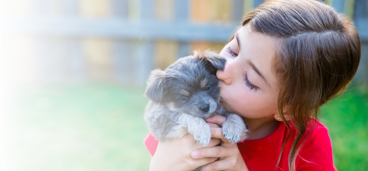 Veterinarian in Lufkin, TX Southwood Drive Animal Clinic