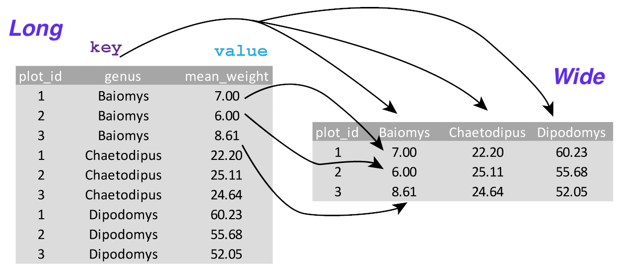 Data Manipulation with dplyr