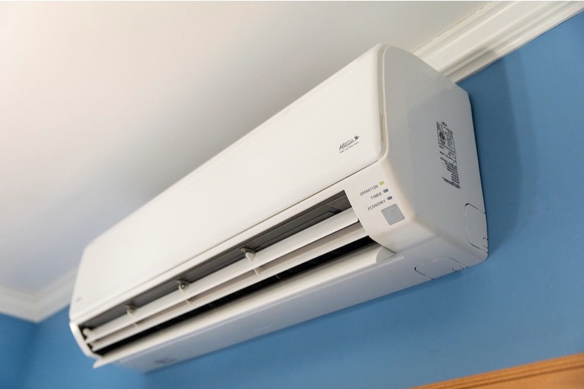 Gallery Sweet & Lowe