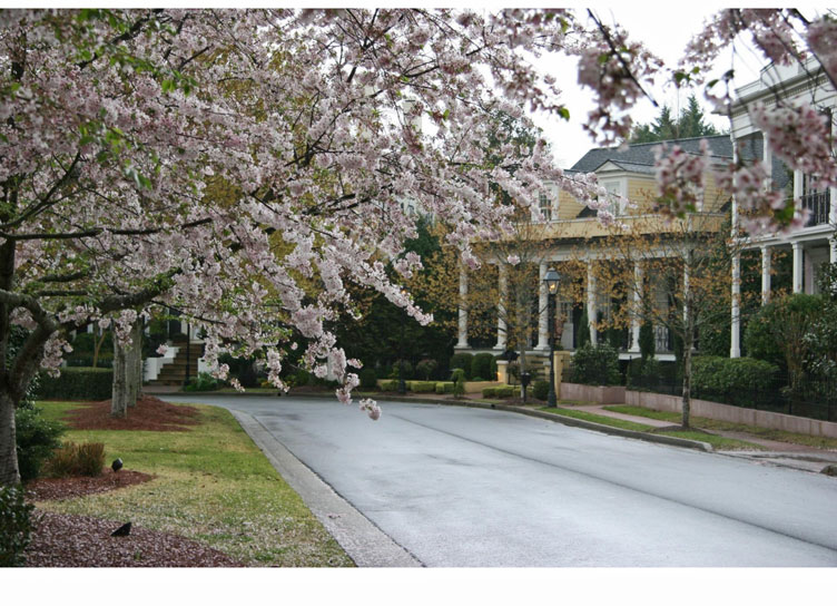 Sweet Bottom Plantation Tour