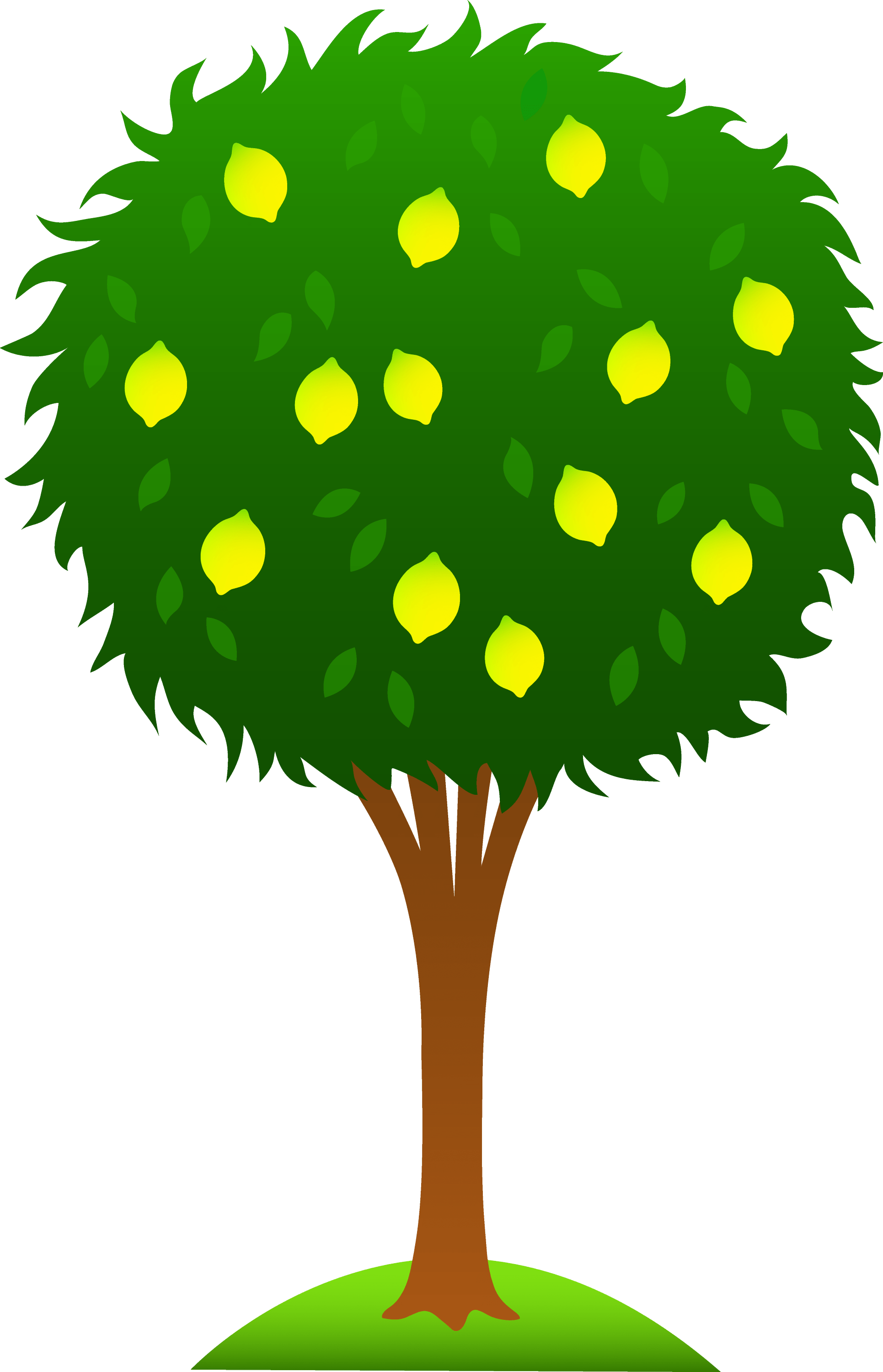Cute Lemon Tree Free Clip Art