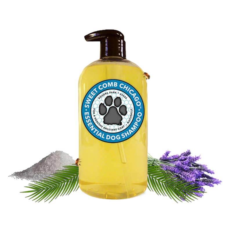 Essential Dog Shampoo Sweet Comb Chicago