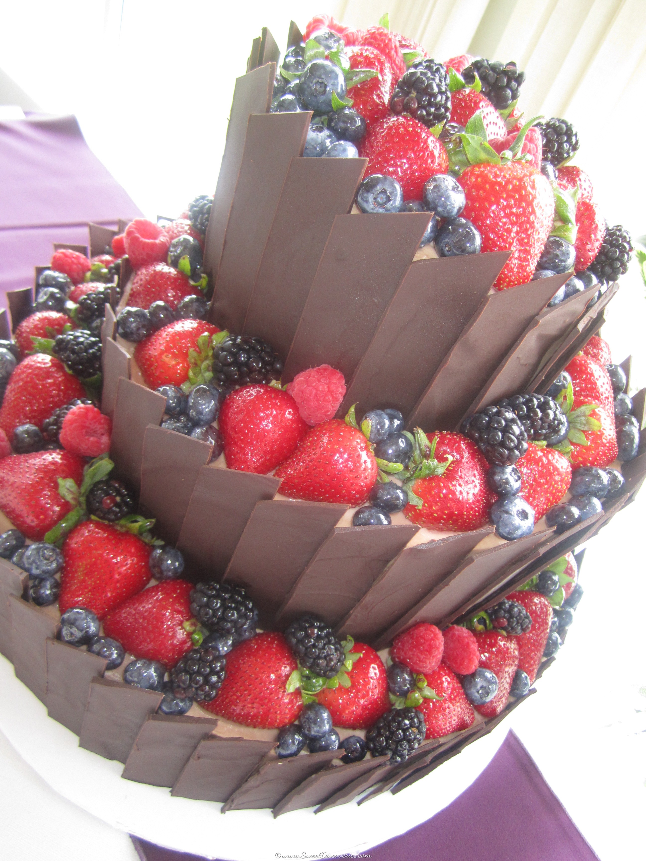 Leeza’s Chocolate Berry Wedding Cake Sweet Discoveries