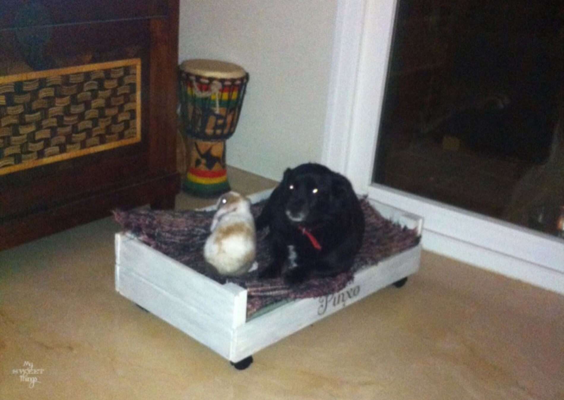 Scrap Wood Pet Bed • My Sweet Things