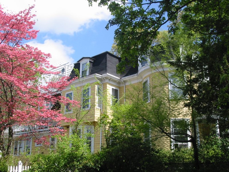 Sweet Home Realty Contact Us