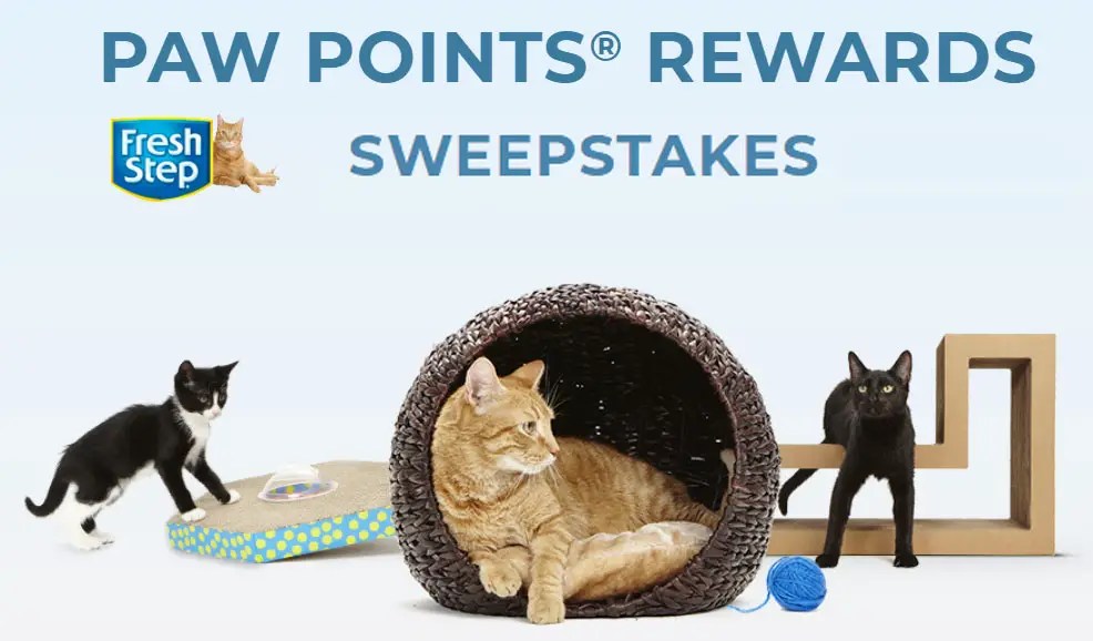 Paw Points FY19 First Half Multisweeps (Monthly Drawings) 12/31 10PPD18+