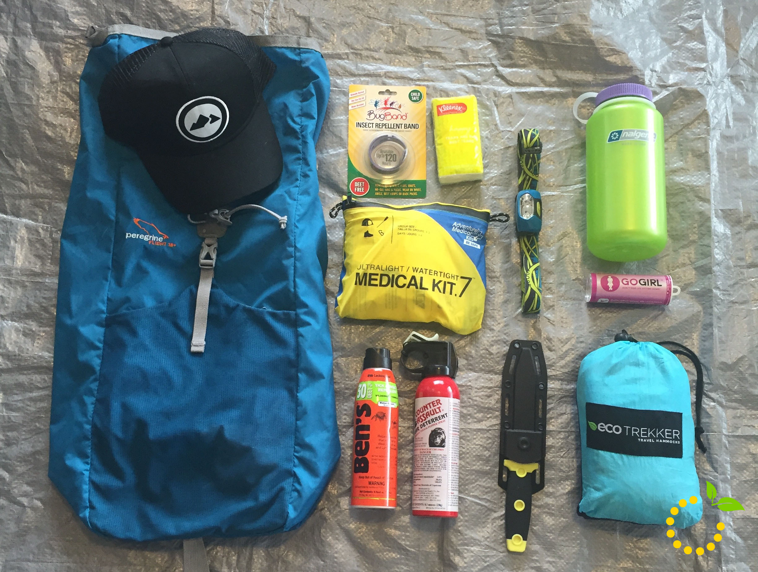 8 musthave hiking essentials · Sweet Lemon Made