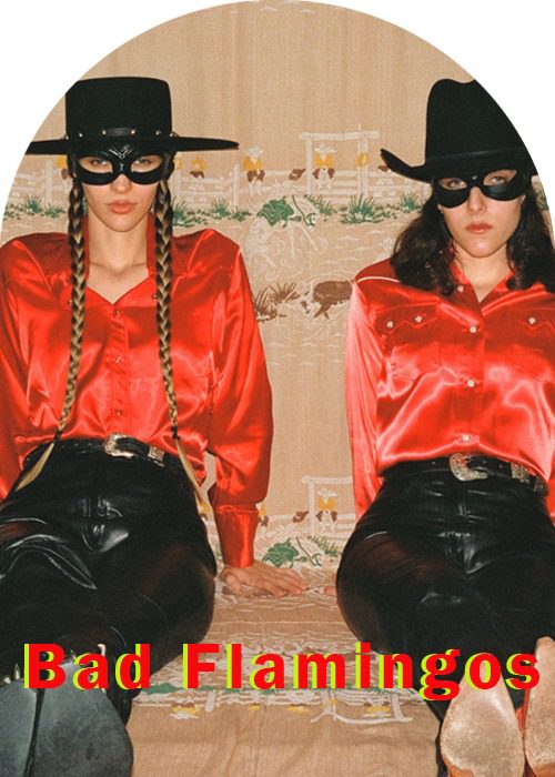 “Bad Flamingos” New sound in the Rock Era SweetNSour Magazine