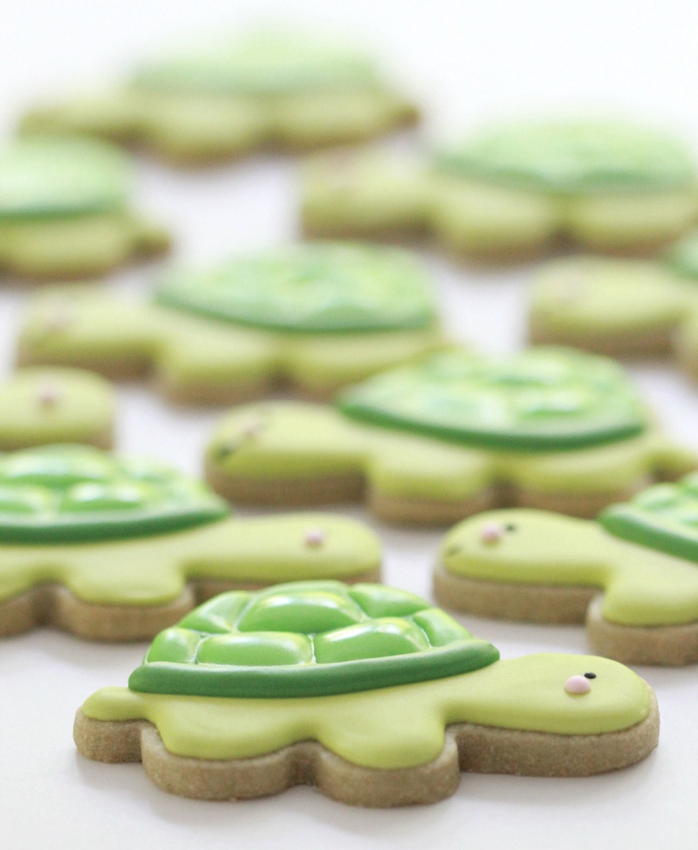 {Video} How to Make Turtle Cookies Sweetopia
