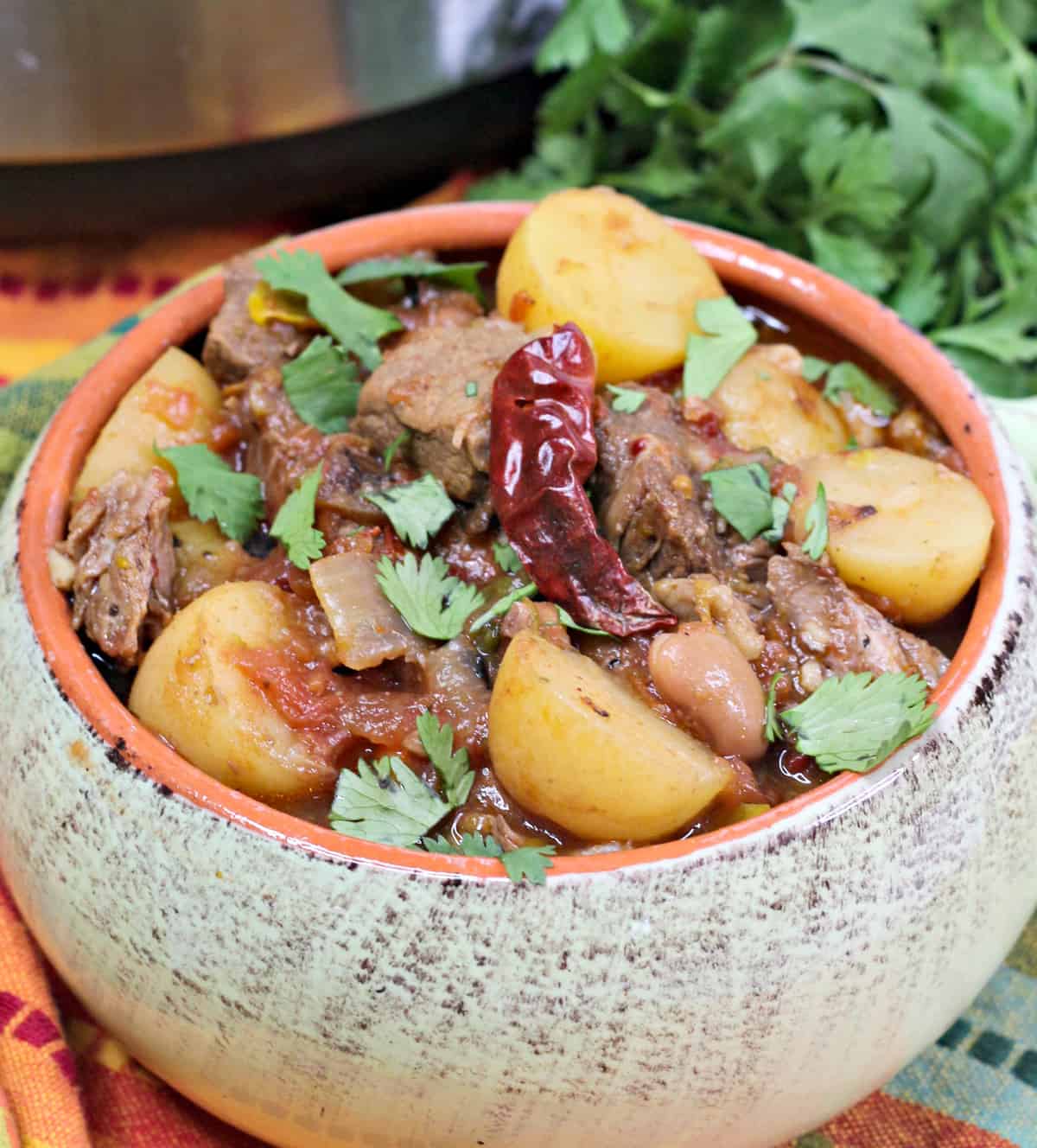 Instant Pot Mexican Beef Stew Recipe Sweet Pea's Kitchen