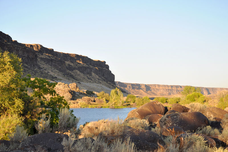 Celebration Park Sweet Pepper Ranch