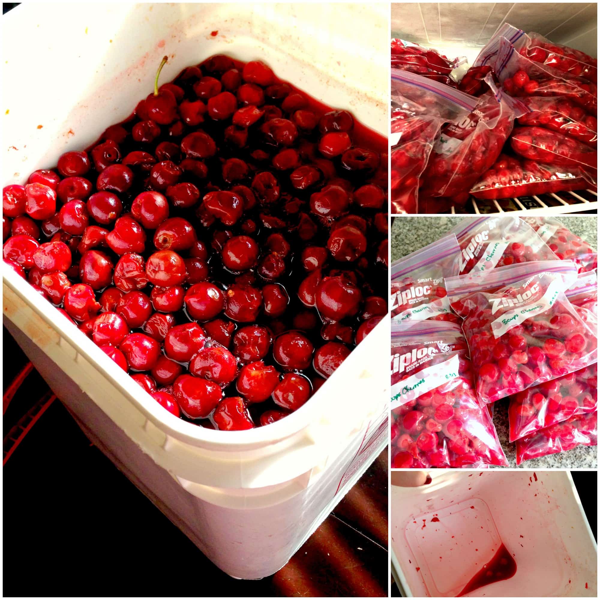 Door County Cherries Sweetphi