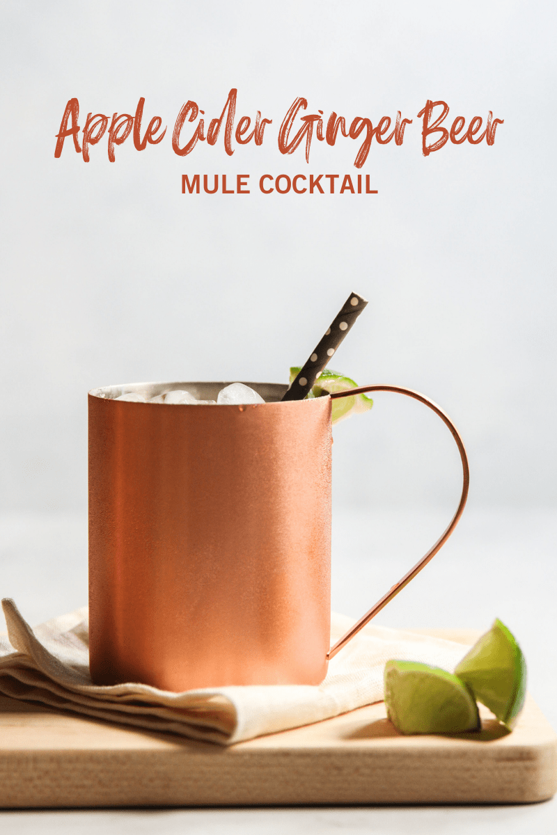 Apple Cider Ginger Beer Mule Cocktail Sweetphi