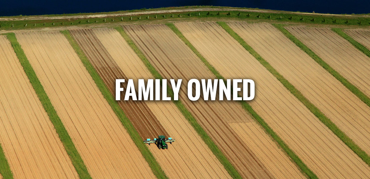 Millstream Farms Sweet Potatoes & Yams from North Carolina