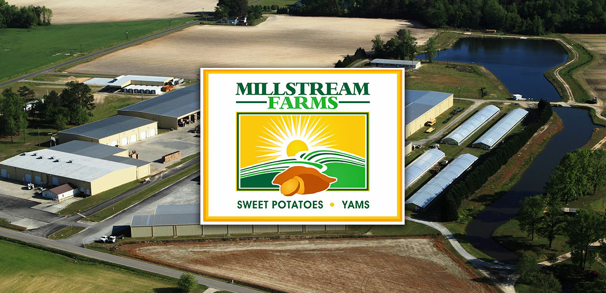 Millstream Farms Sweet Potatoes & Yams from North Carolina