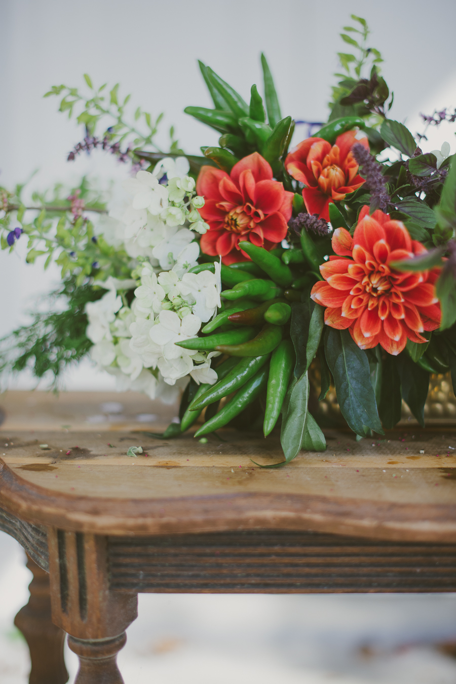 Feature Farm Fresh Flowers from Wollam Gardens for A Daily Something