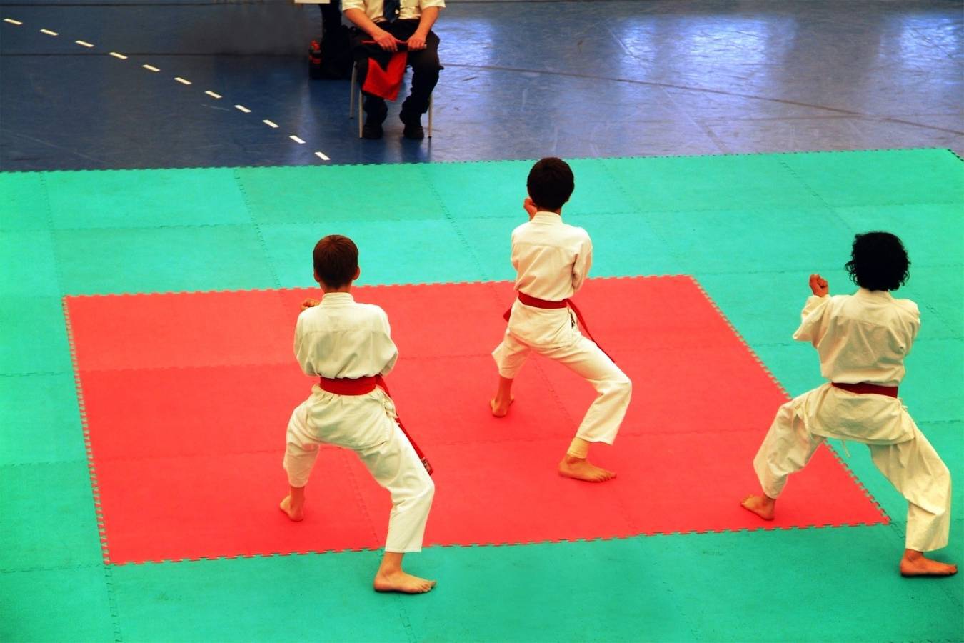 Conditioning For Karate Kumite & Kata Sweet Science of Fighting
