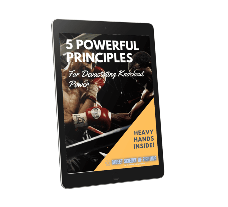 Do Boxers Do PushUps Every Day? Sweet Science of Fighting