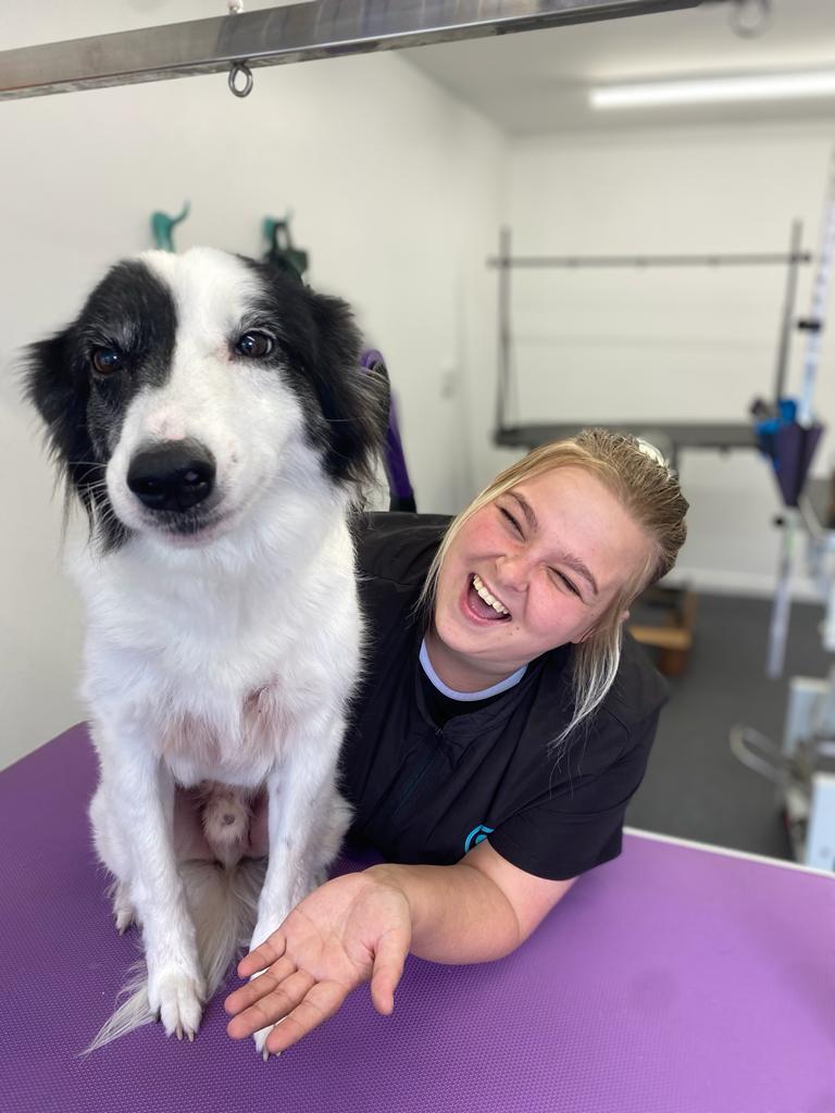 Dog Groomers in Bristol Gallery Sweets Dog Grooming