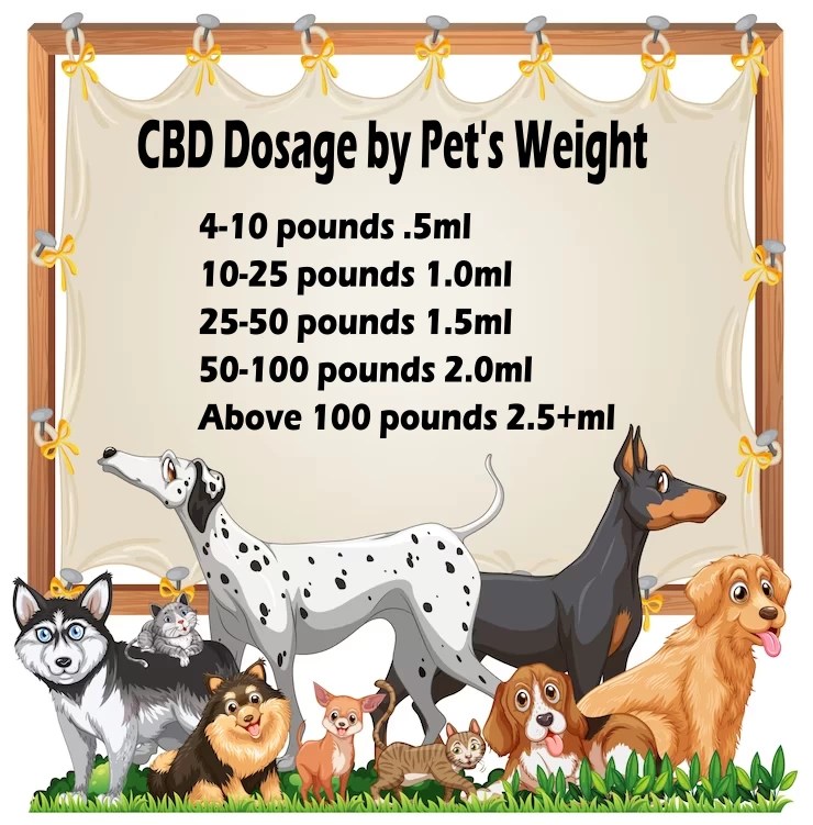 CBD Oil For Dogs Helps With Hip Dyspepsia And Other