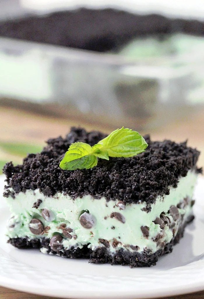 Mint Chocolate Chip Frozen Dessert easy refreshing dessert..