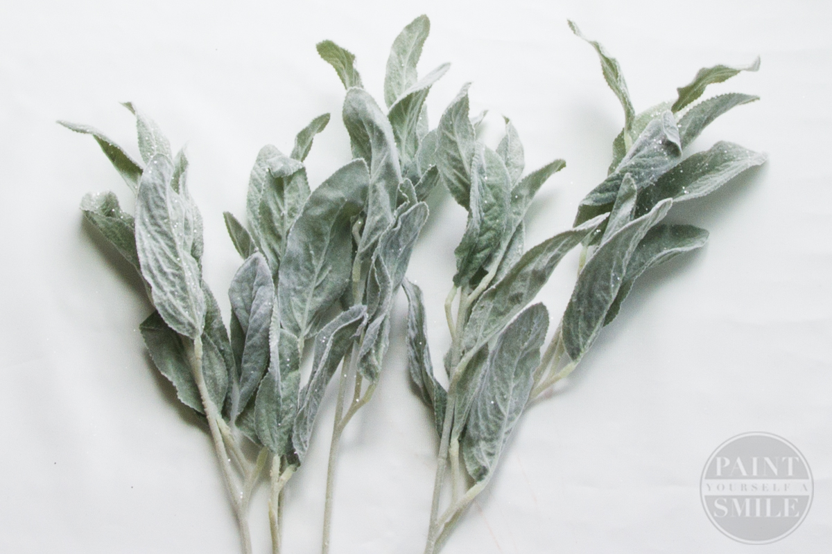 lambs ear Sweet Tea & Saving Grace