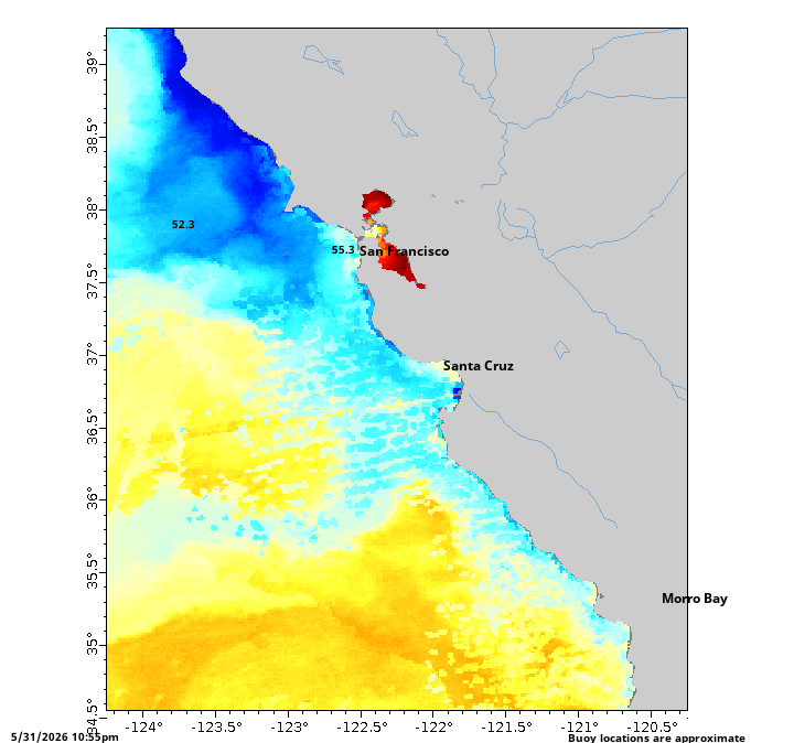 Northern California San Francisco to Santa Barbara Current Sea Surface