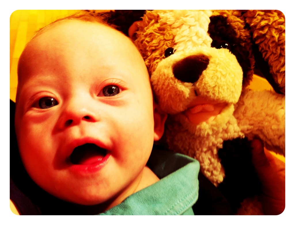 Baby Noah's First Build A Bear...