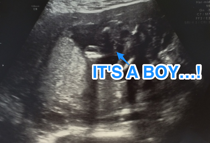 Meet The Newest Member Of The Smith Family!