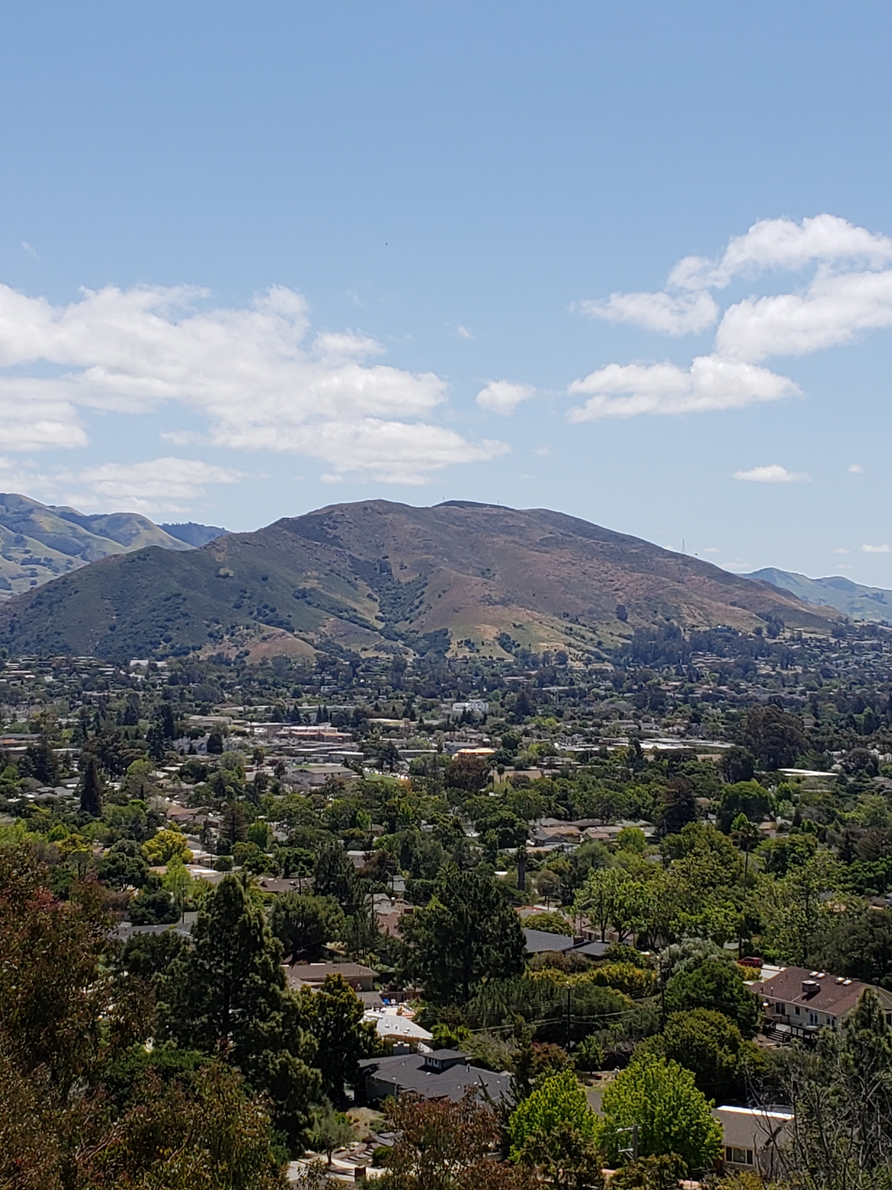 Commercial real estate for sale for lease san luis obispo