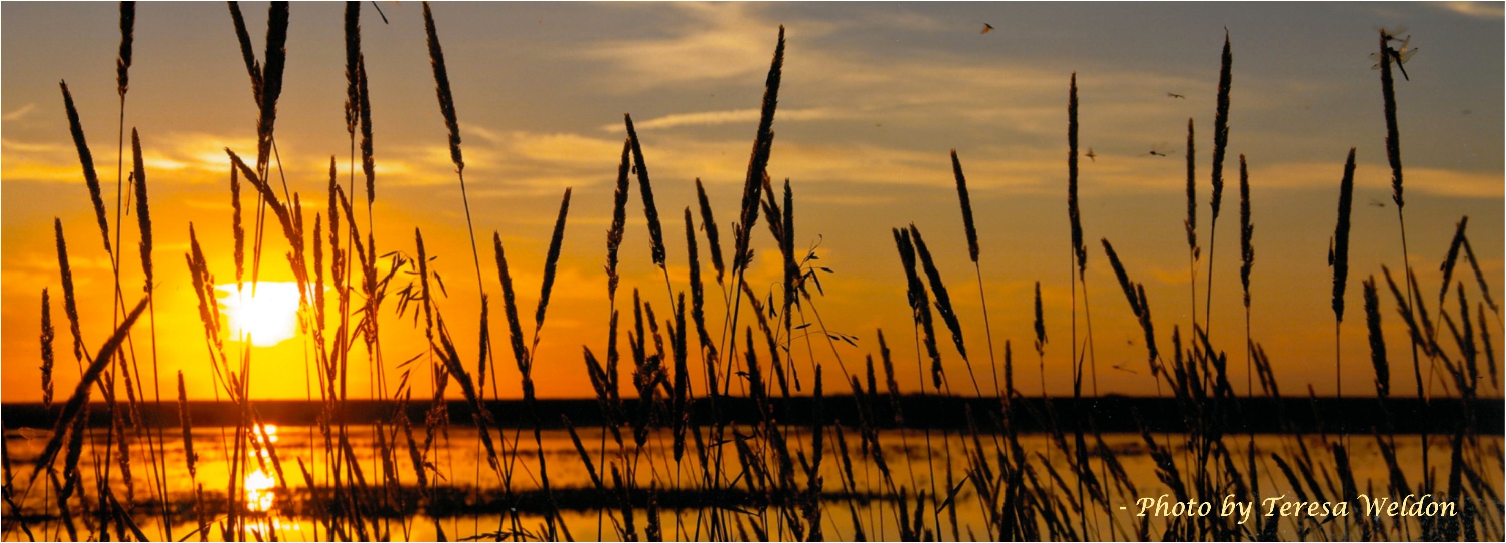 Alternative Land Use Services (ALUS) Expands into Upper Qu'Appelle and Wascana Watersheds