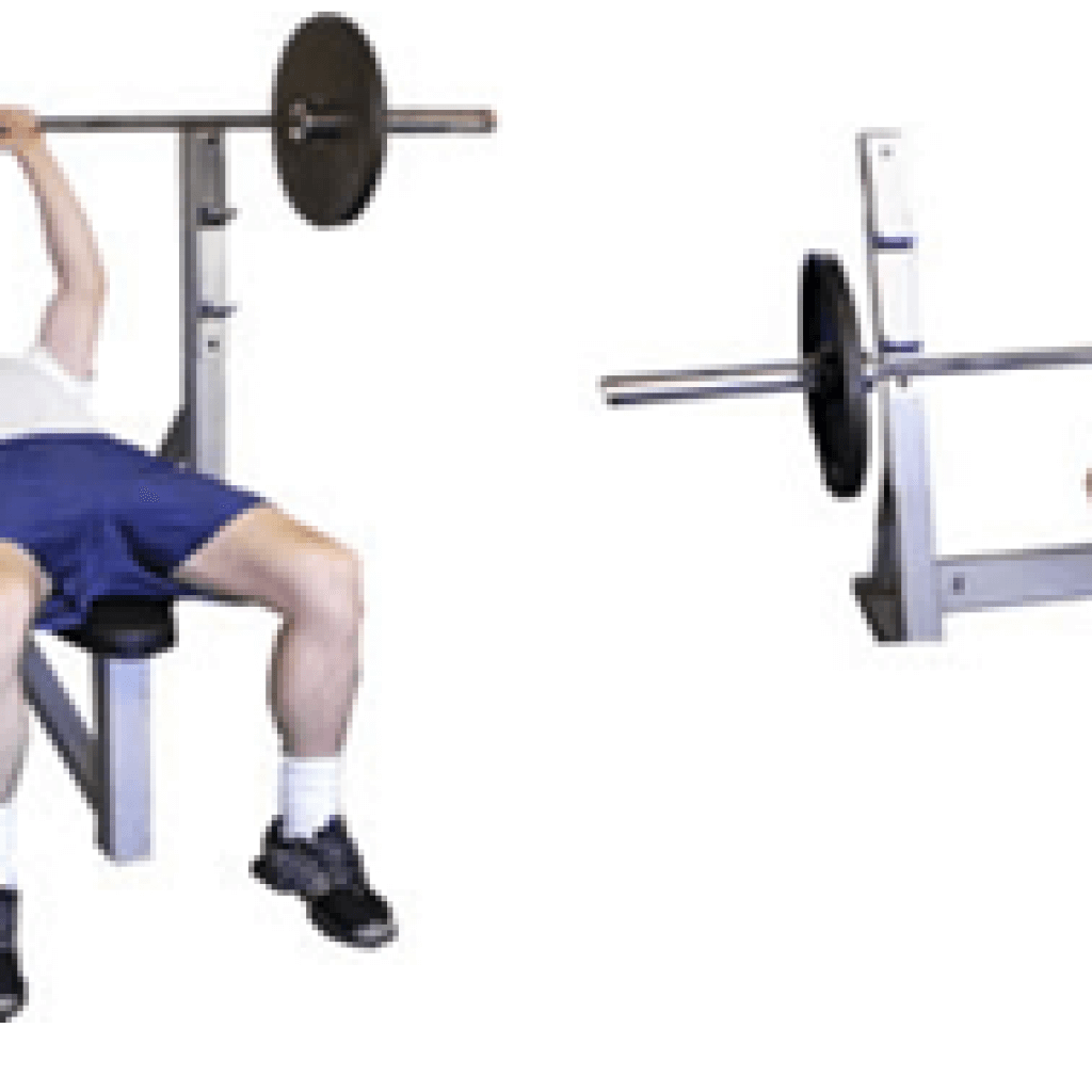 Best Creatine Hcl Supplements Proven to Help You Build