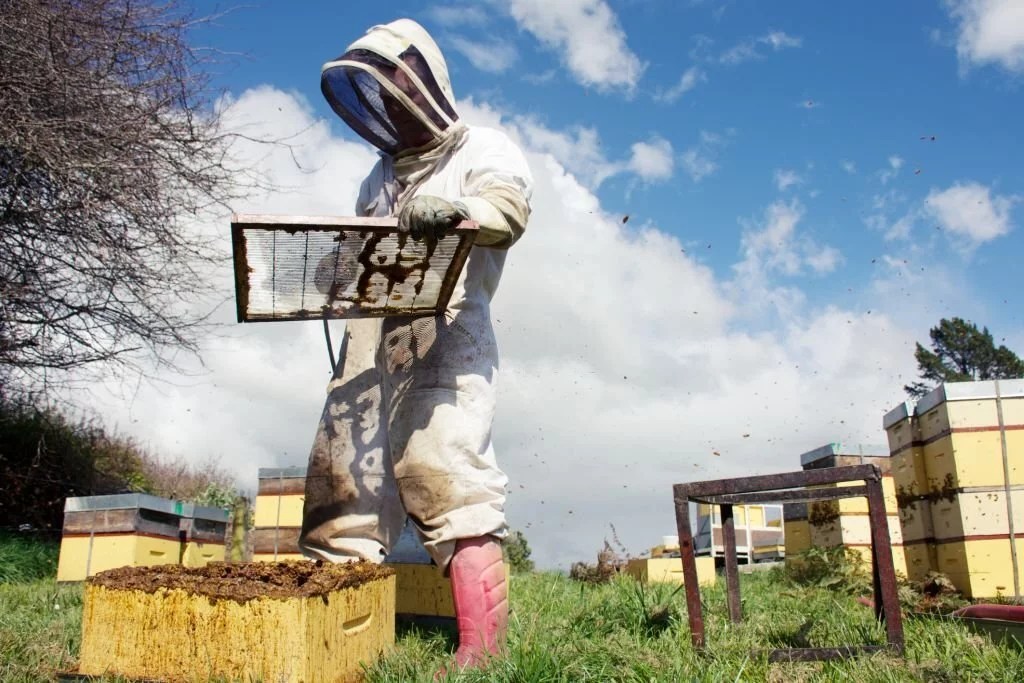 Keeping It Clean A Simple Guide to Washing Your Bee Suit SWF Bees