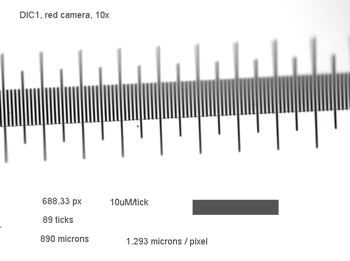 Microscope Scale Calibration with ImageJ