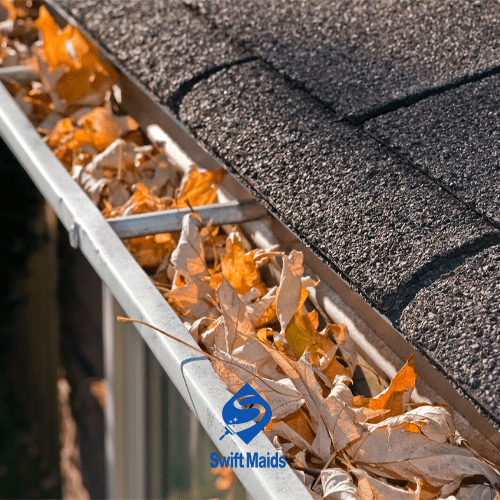 How to Clean gutters without ladder in smart way?