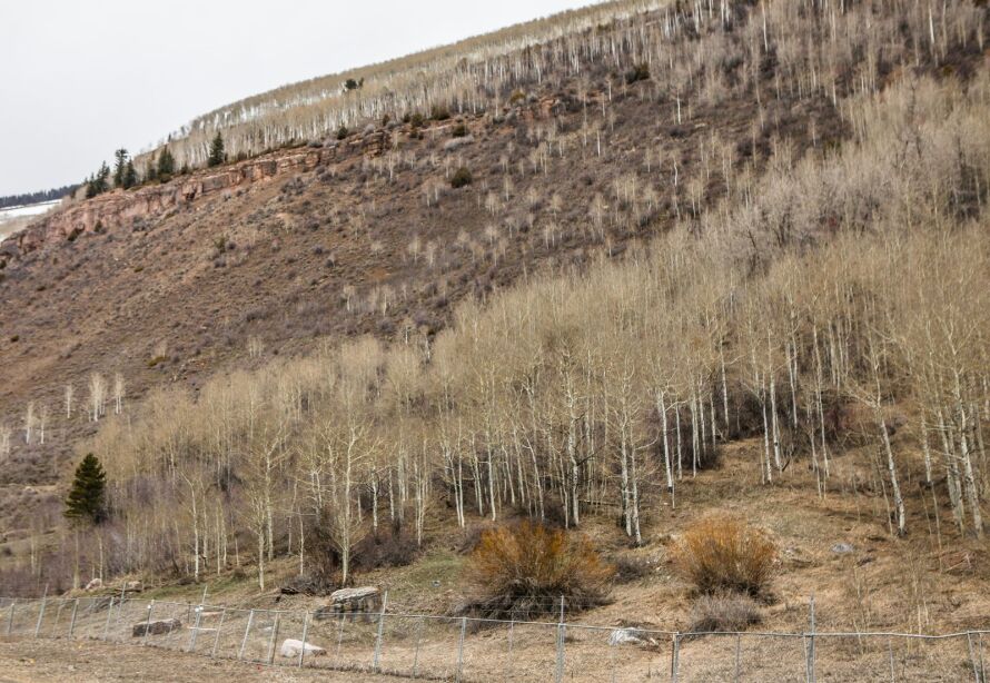 Town urges Vail Resorts to consider alternatives for workforce housing