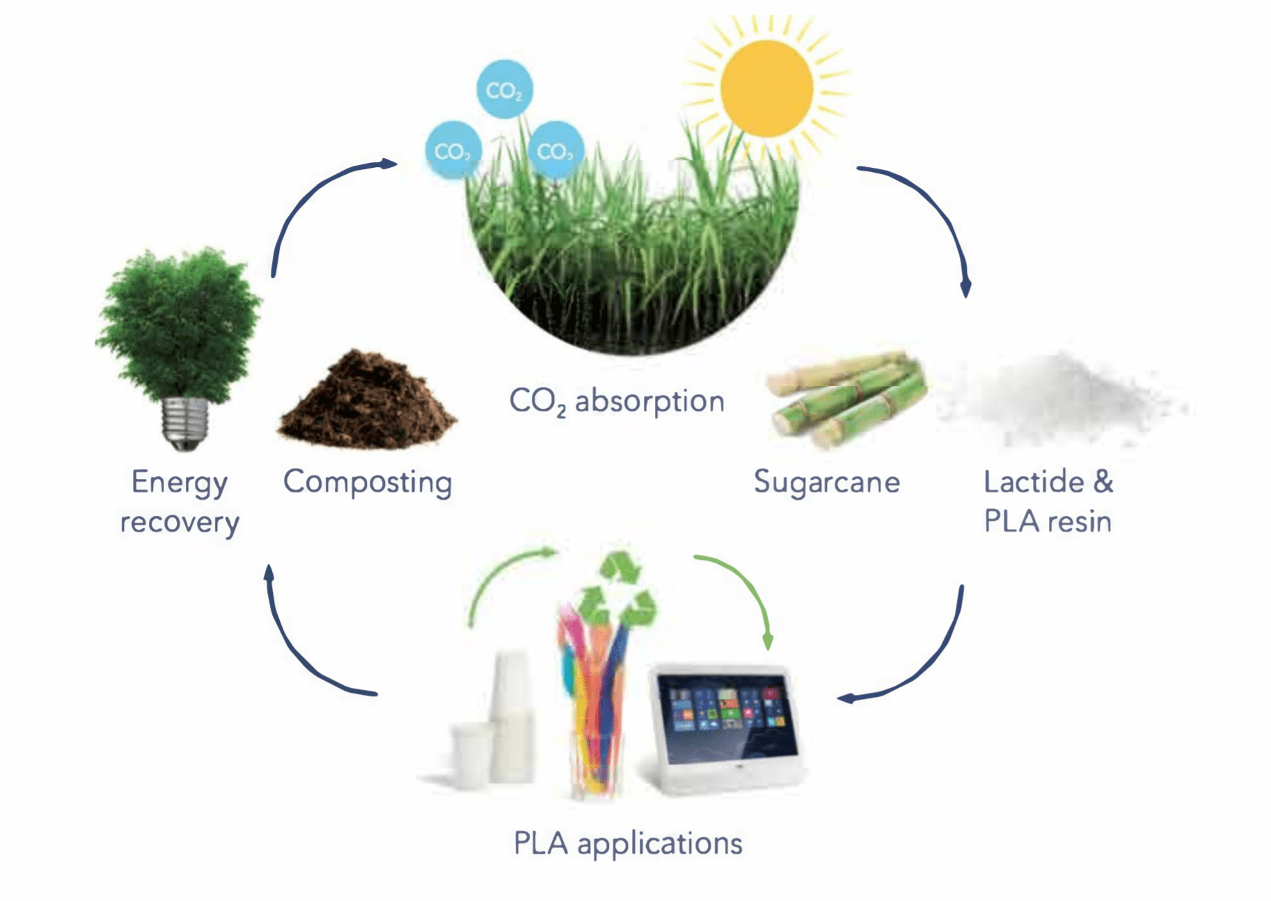 PLA Packaging The Ultimate Guide