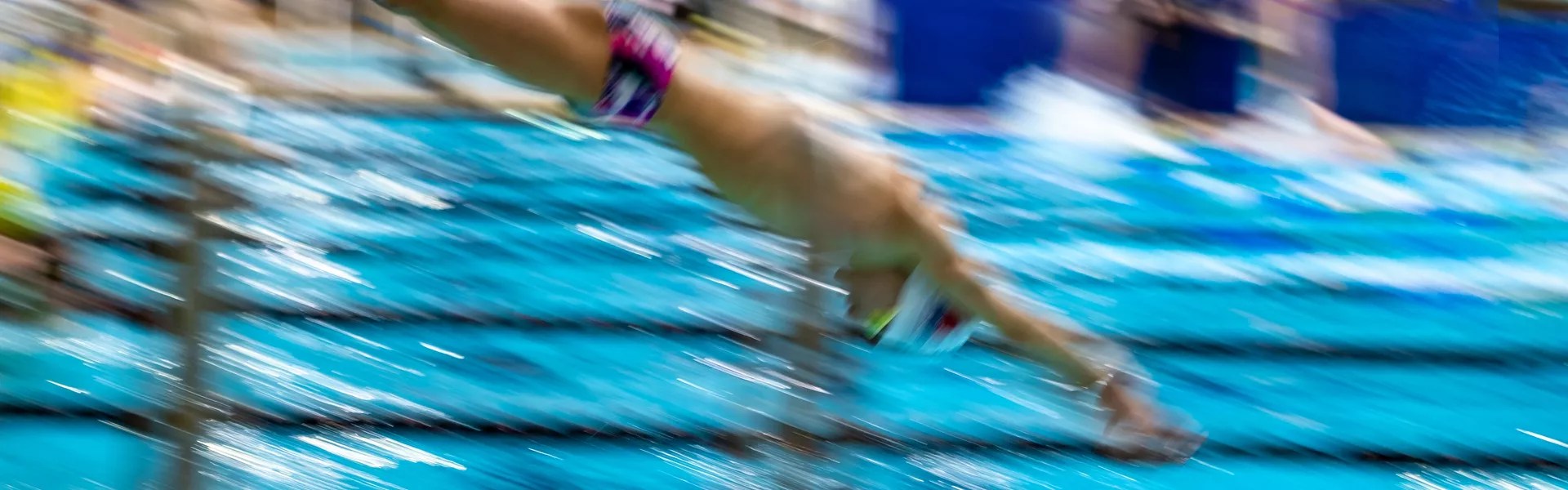 BC Swimming Congress Swim BC