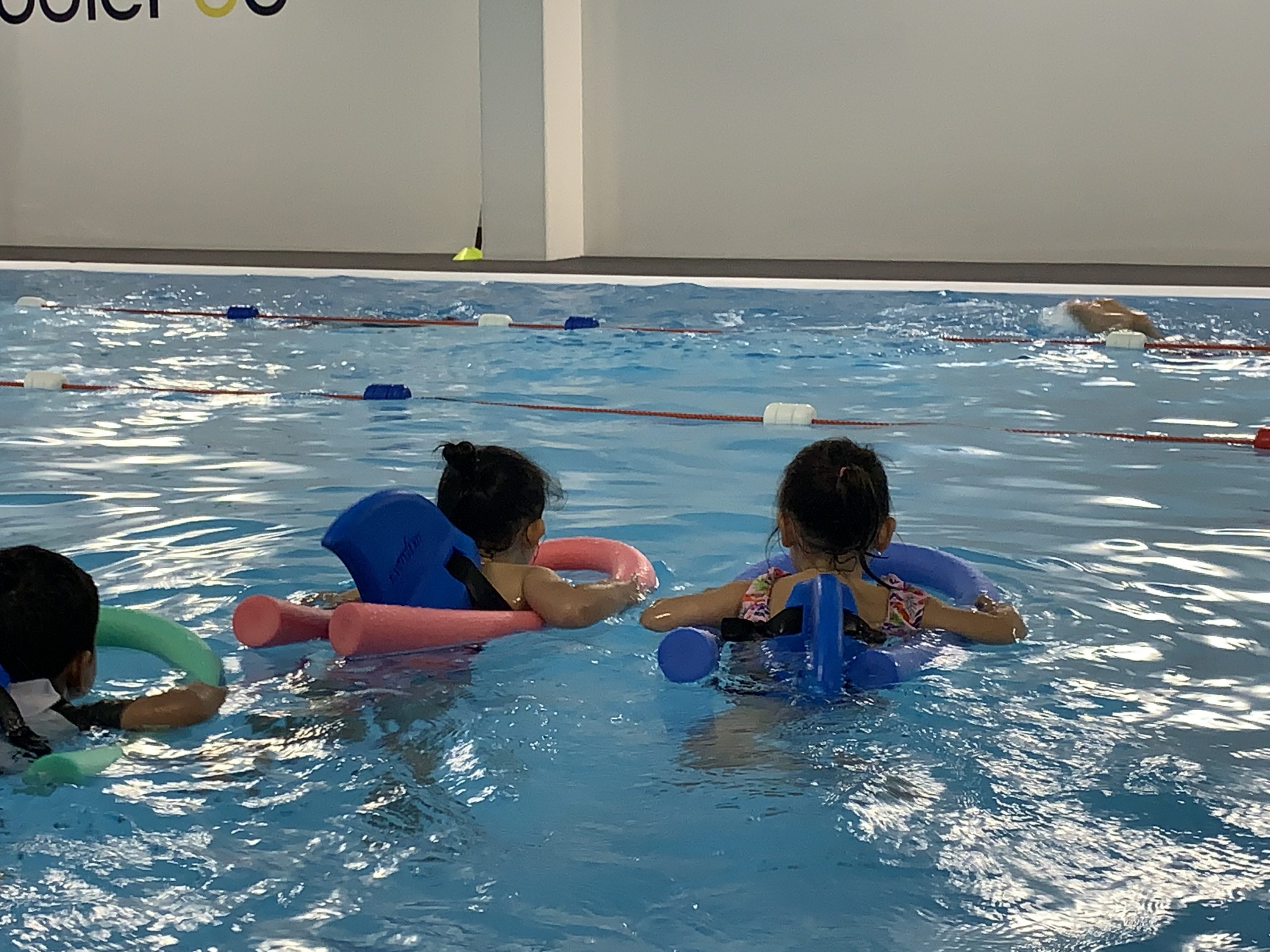 Group or private swimming lessons? SwimNE