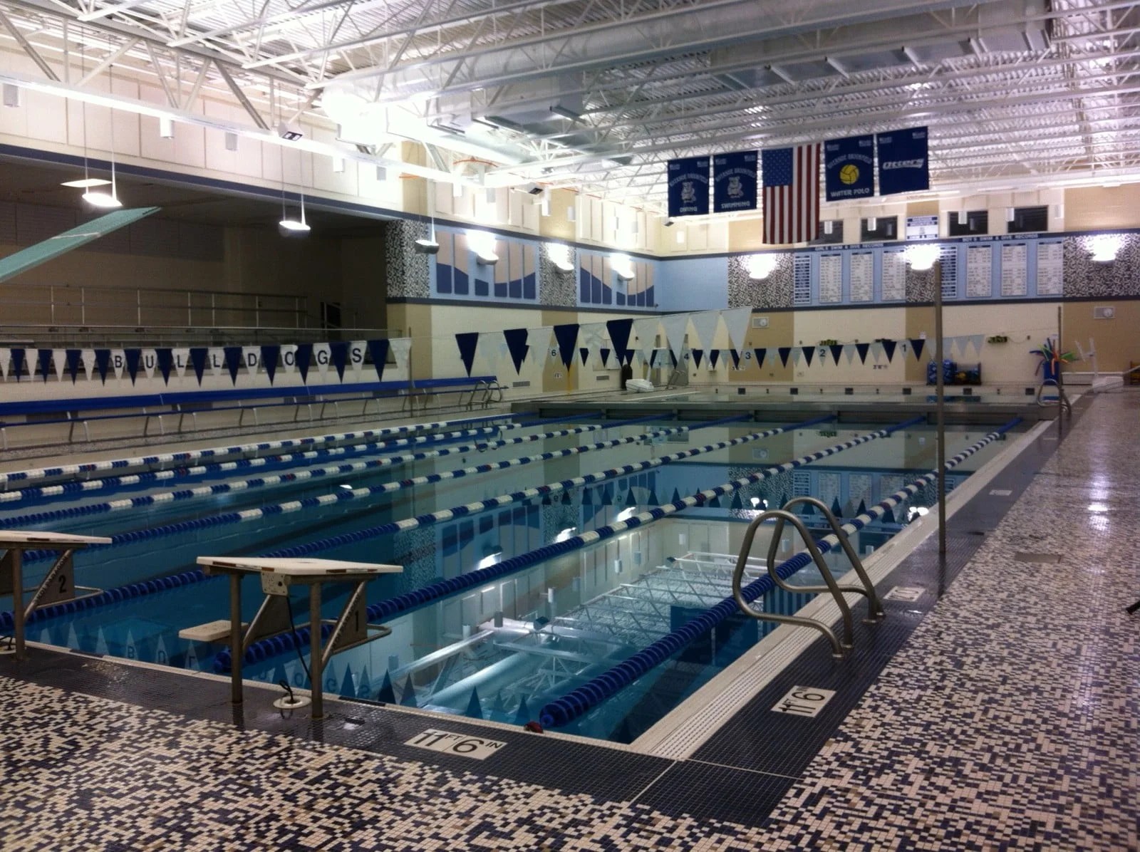 Riverside Brookfield High School. Swimming Technique Video Analysis