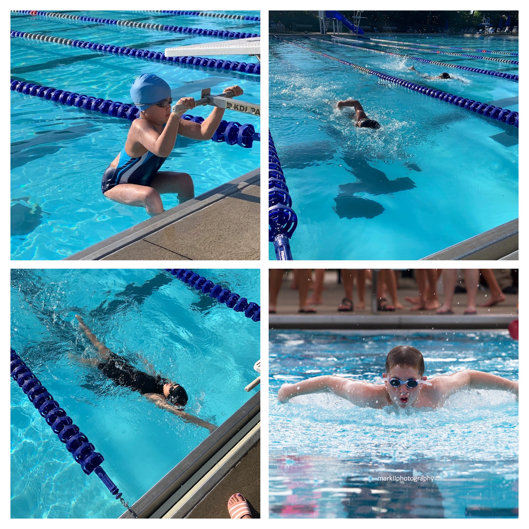 Registration Northwest Swim Club Swim and Dive Team