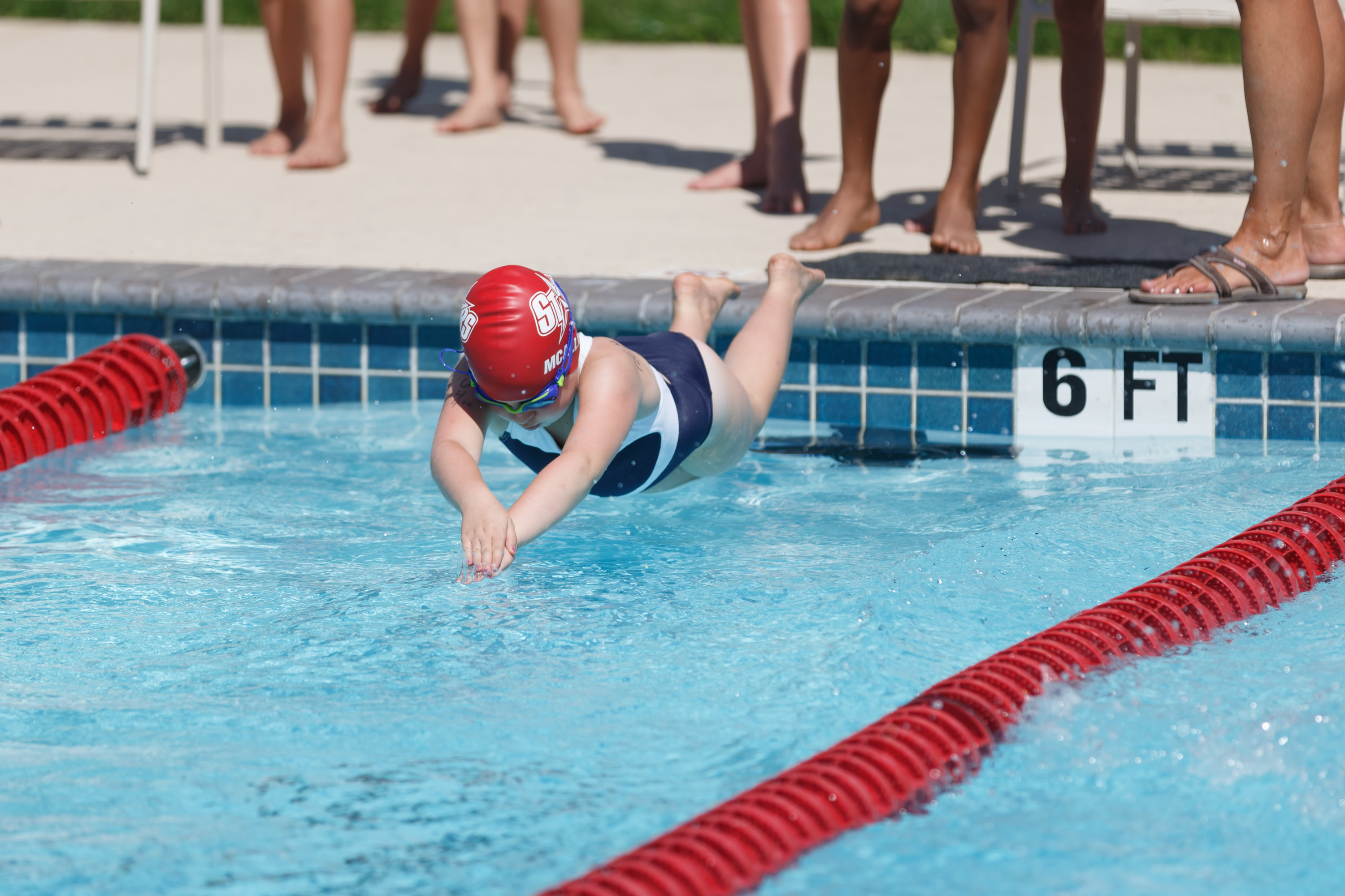 Home Long Meadow Farms STARS