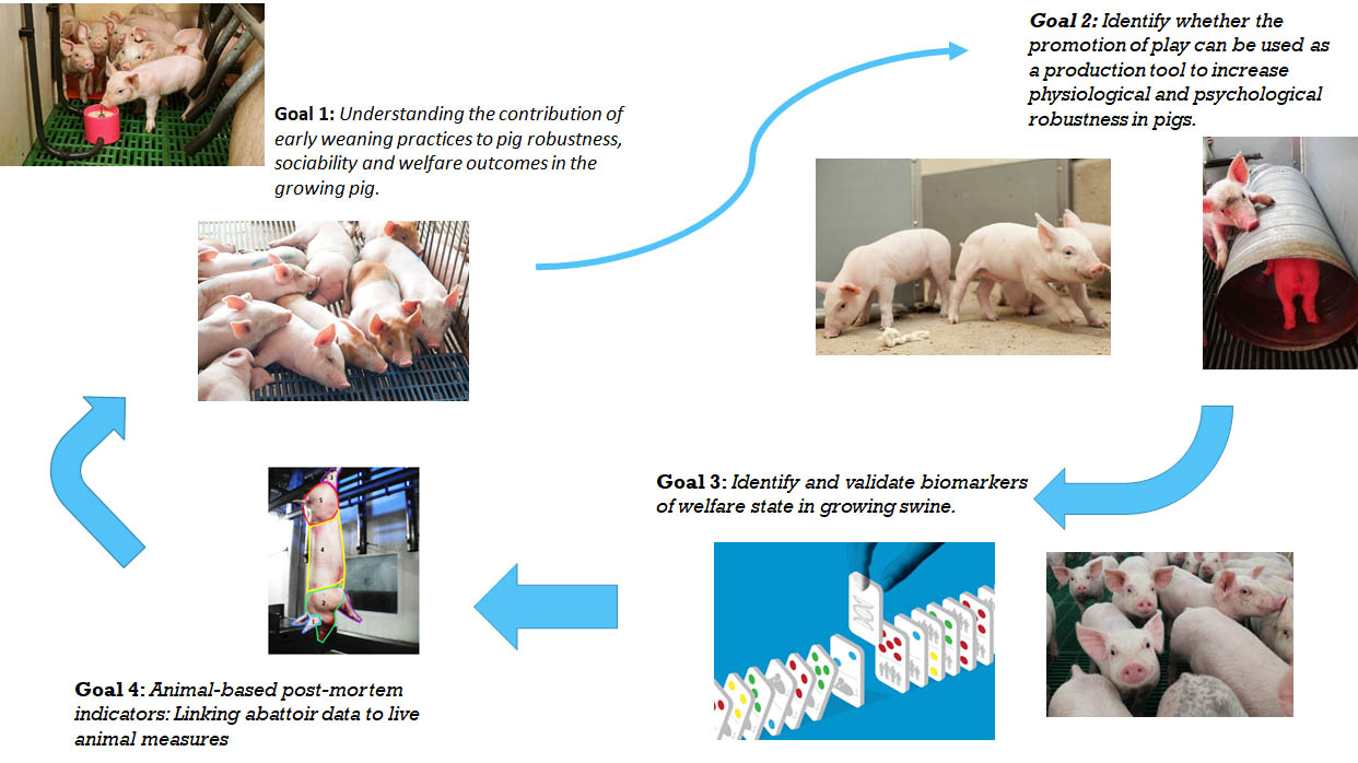 NSERC Industrial Research Chair NSERC Industrial Research Chair in